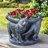 Photo of Campania 3 Cats Planter - Exclusively Campania